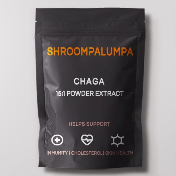 Chaga powdered extract